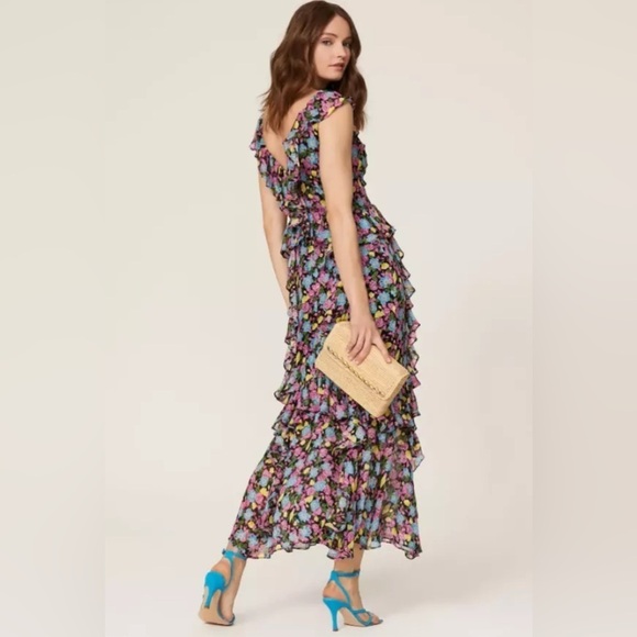 Amur EVITA Multicolor Floral Silk Chiffon Ruffle Maxi Dress Size 12 - Picture 3 of 14